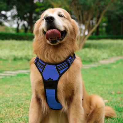 China Oxford Soft Pet Vest Nylon Dog Harness Easy Cleaning With Reflective Strap for sale