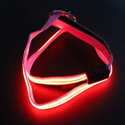 China Double Optical Fiber LED Light Up Dog Leash 2 Lighting Modes With Flashlight for sale