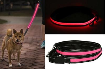 China Comfort Grip Handle LED Pet Leash High Visibility Industrial Strength Materials for sale