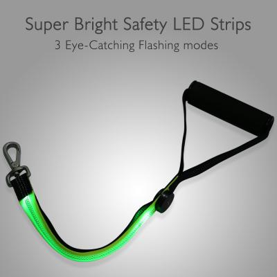 China Heavy Duty LED Reflective Dog Leash Night Safety Lighted Nylon Webbing for sale