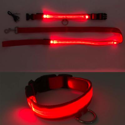 Cina Il collare di cane regolabile dei 3 modi LED USB ricaricabile, accende il collare di cane di Natale in vendita