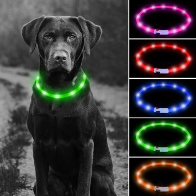 Cina Collare di cane comodo del LED USB ricaricabile, una visibilità flessibile di 360 gradi dei collari di incandescenza dell'animale domestico in vendita