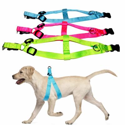 Chine La LED allument l'ODM d'OEM imperméable de gilet d'animal familier de nuit de harnais de chien disponible à vendre