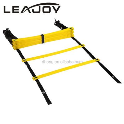 China Outdoor Sport Game High Quality Engineering Speed ​​Plastic Fast Flat Ladder for sale