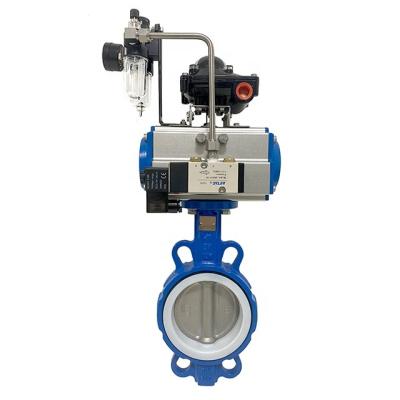 China General Skycity size JG60-D3-DA-MF1 DN50-DN600 high performance ptfe butterfly valve price hook type model for sale