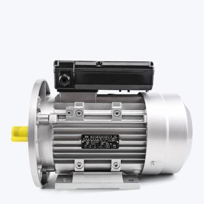 China YL series single-phase dual-capacitor 2hp AC explosion-proof induction electric motor for air compressors for sale