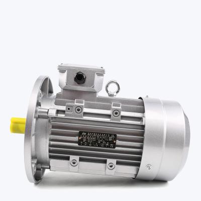 China Totally Enclosed MS Series Dual Shaft 3 Phase 550 Watt 400w 1hp 8hp 20hp Battery Operated Electric Motor for sale