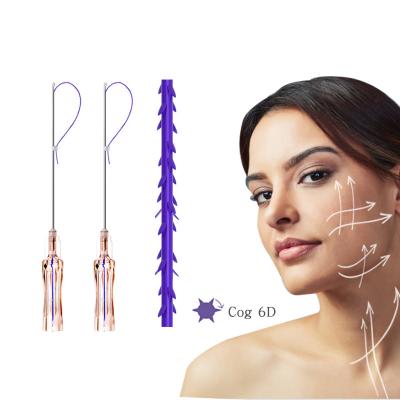 China Face Lift Time Cheek Body Adult Strong Durable Skin Tightening W Cannula Tip Tooth 6D 19G 100mm Thread Lift pdo for sale