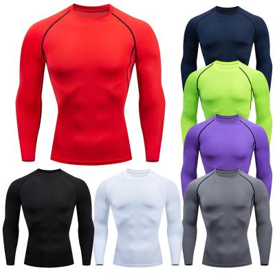 China Breathable cheap European and American fitness use men's T-shirt running stretch tights marathon quick-drying sportswear for sale