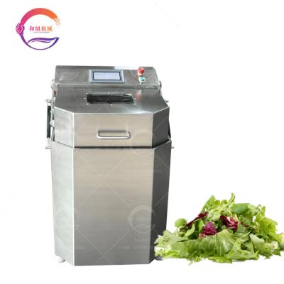 China Different Kinds Of Vegetable And Fruit Factory Supplying Mesin Salad Spinner Spinning Machine Vegetable Dehydrating Machine for sale