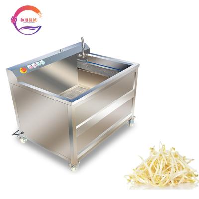 China Snack Factory 200-300kg/h Commercial Bubble Vegetable Washer Bubble Ozone Washing Machine For Bean Sprout for sale