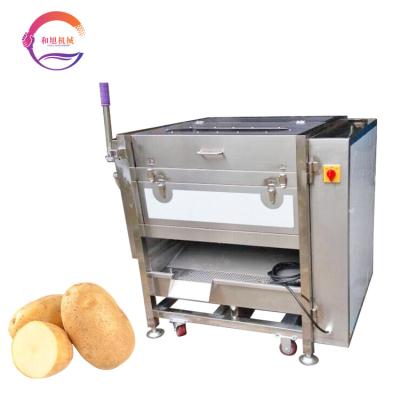 China Snack Factory Industrial Potato Peeler Machine Sweet Potato Washing and Peeling Brush Cleaning Machine for sale