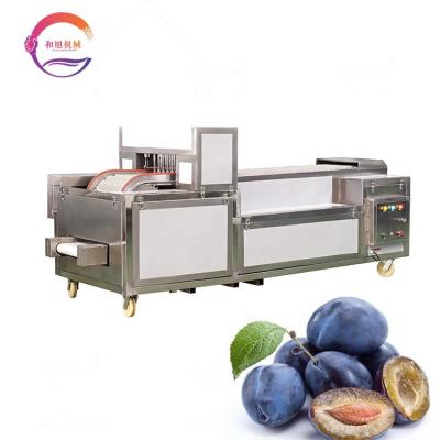 China SUS 304 Plum Coring Fruit Kernel Removing Automatic Stanley Plum Core Pitting Machine from Stanley plum for sale