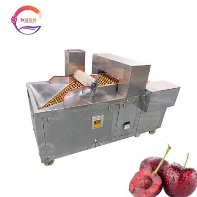 China Automatic Cherry Kernel Meat Separating Small Cherry Pitter Industrial Fruits Seed Removal Machine Cherries From Cheerful Or Small Fruits Pitting Machine for sale