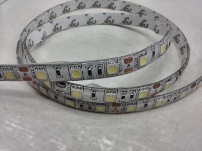 China LED strip flexible light 5050 Blue HIGH LUMEN JALN7 for sale