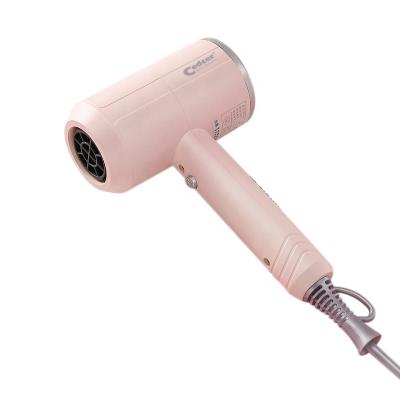 China Hair Dryer Hotel Appliances OEM Professional Bathroom Hair Dryer Air Nozzle Ionic High Temperature Resistant Strong Wind for sale