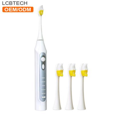 China Teeth Cleaning Best New Adult Sonic Portable Electric Toothbrush Cleaning and Whitening Health Care Customized OEM for sale