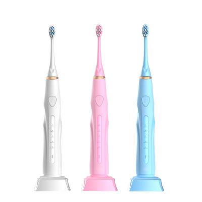 China Best New Battery Operated Adult Electric Toothbrush With Low Charge Ultrasonic IPX7 Fashionable Sonic 5 Models Electric Toothbrush for sale