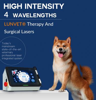 China 3000+ Built in treatment preset New Professional Hospitals and Clinics Veterinary Therapy Laser Equipment for Pets for sale