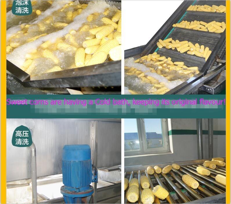 Verified China supplier - Jilin Province Agricultural Sister-In-Law Food Co., Ltd.