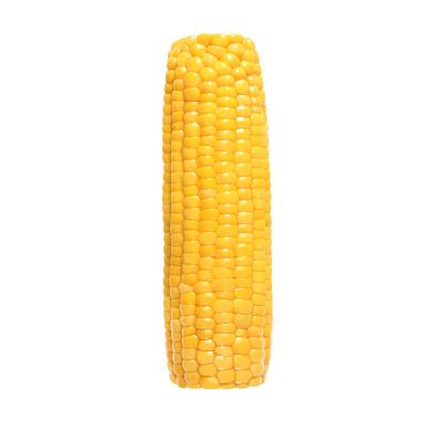 China Fresh Sticky Fresh Yellow Corn Vegetable Double Corn Waxy Cob for sale