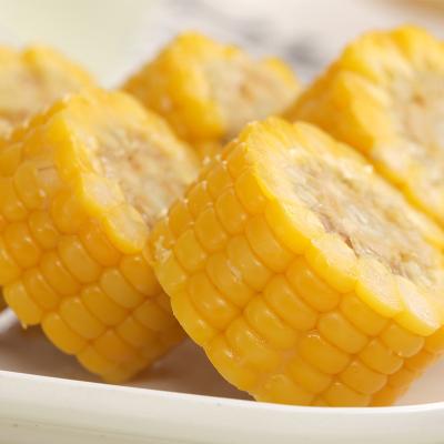 China Fresh Sticky Yellow Corn Cob Vacuum Packed Fresh Vegetable For Soup for sale