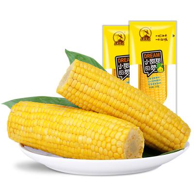 China Non GMO fresh yellow sweet corn in vacuum packing for sale