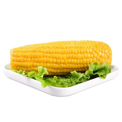 China IQF FROZEN Wholesale Bulk Frozen Corn for sale