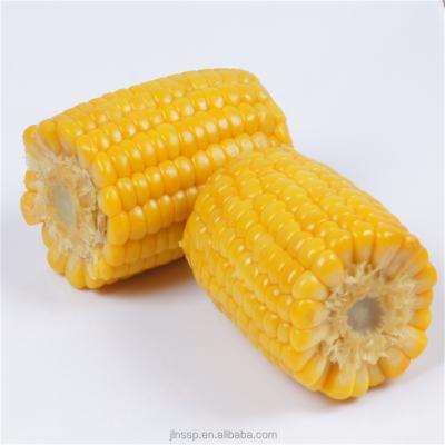 China Canned yellow cuts of corn from the best corn belt for sale