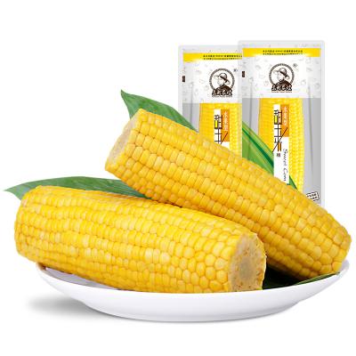 China Non GMO China Canned Fresh Corn as Portable Snack for sale