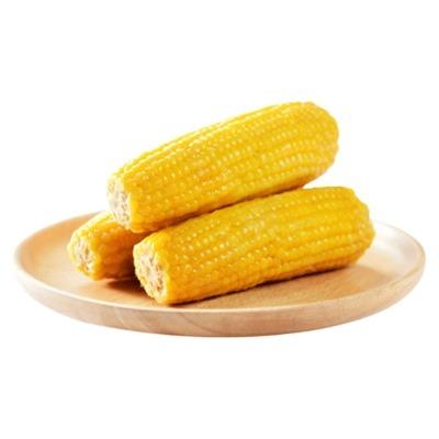 China Wholesale Vacuum Instant Canned Corn Cobs for sale