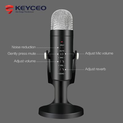 China Factory Stereo Professional Computer Gooseneck Microphone OEM RGB Gaming Mike Studio Condenser Mic USB Portable Recording Microphone For PC Laptop for sale