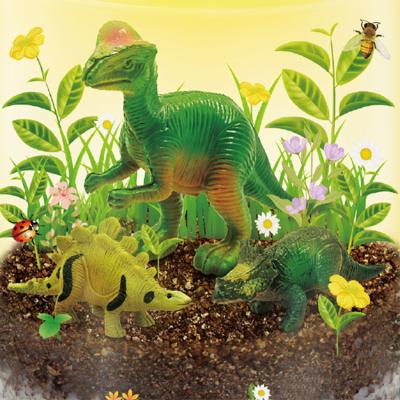 China 2021 Wholesale Teaching Kids DIY Toys Garden Dinosaur Factory Experiment Educational Games Stem Science Toy for sale