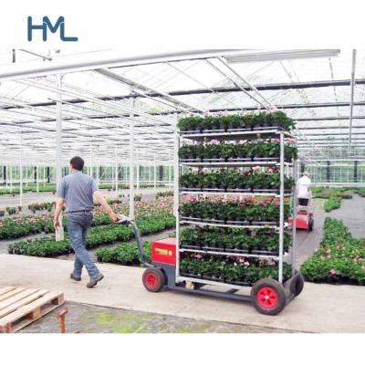 China Danish Steel Flower Storage/Shipping Carts for Nursery/Plant/Florist Plant/Nursery Plywood Shelves Logistics Transport 4 Wheels For Sale for sale