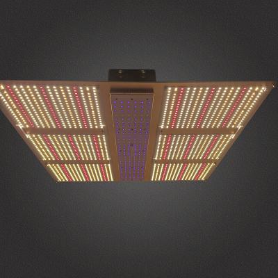 China Seed Starting Lighting Professional Designed Full-Spectrum IR UV Adjustable Fixture Quantum LED Grow Light with Timing Seeding Function for sale