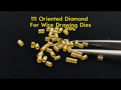 CVD Diamond Lab Grown 3PT/111 MCD Diamond Plate Wire Drawing Die Blanks Yellow