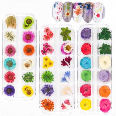 China 3d Nail Art DIY Decoration Wholesale Color Flower Nail Lace Decoration Mix 12 Grid Set Natural Dry Nail Dry Flower for sale