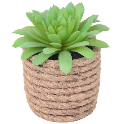 China Wholesale HuiCai Succulents Bonsai Indoor Outdoor Decoration Fake Small Artificial Succulent Kit Potted Plants For Sale for sale