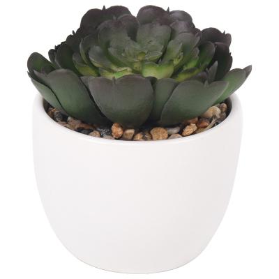 China Indoor Outdoor Round Succulent Artificial Plants Ceramic Bonsai Home Office HuiCai Decoration Greenery Potted Decor Base for sale