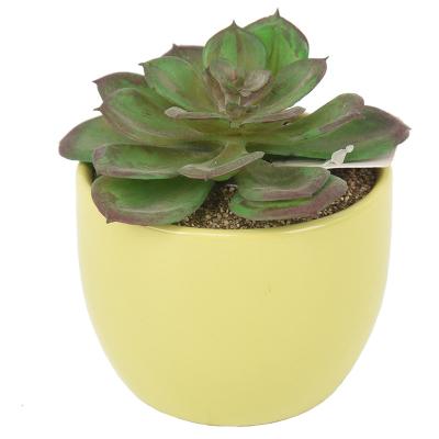 China Indoor Outdoor Decoration New Ceramic Pots Fake Plastic Succulents Plants Yellow Artificial Potted Indoor Home Decor for sale