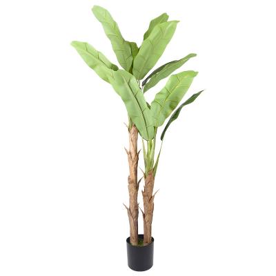 China Indoor Outdoor Decoration Luxury Double Banana Leaves Branches Large Plastic Artificial Banana Trees 180cm Indoor Outdoor for sale