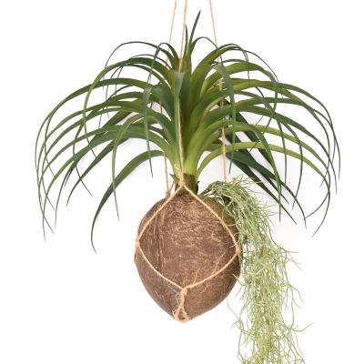 China Indor Decoration Customized Air Grass Leaves Plastic Wall Hanging Factory Potted With Basket Coconut Shell for sale