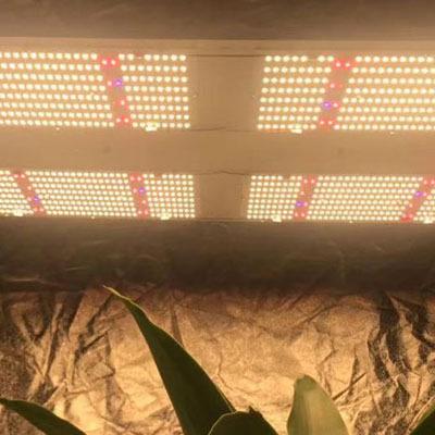 China Yuanhui 480w V4 lm301b lm301h full spectrum dimmable dimmable knob led grow lights for indoor plants for sale