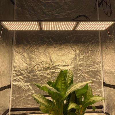 China Seed starting Yuanhui 320w lm301h pre-assembled kit with Samsung led deep red 660nm grow light for sale