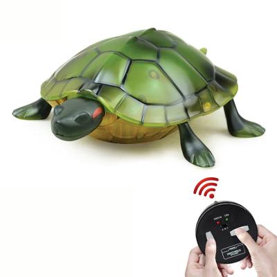 China 2020 Simulation Realistic Plastic Infrared Remote Control Turtle Animal Toys For Children 23.8*14.8*6.5cm for sale