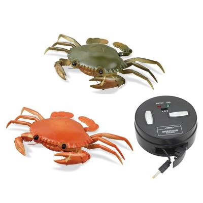 China 2020 Plastic Infrared RC Toy Funny Remote Control Animal RC Mini Crab Toys For Children 18*6*22.5cm for sale