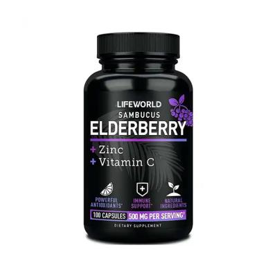 China Vegan Multivitamin Sambucus Black Elderberry Capsules For Herbal Immune Support for sale