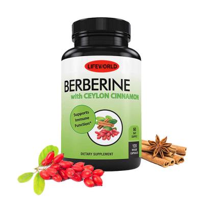 China Metabole Harmonie Berberine Hydrochloride Capsules Supplement Plus Coptis wortels Te koop