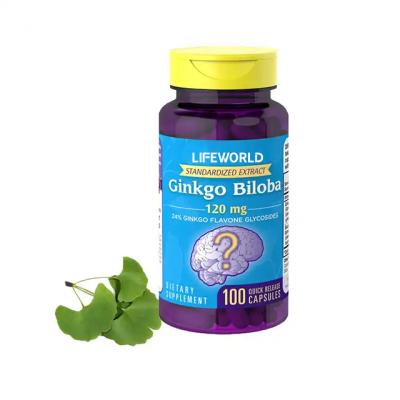 China Tipo de cápsula Extra Força Ginkgo Biloba 500 mg Para Elevar o Desempenho Cognitivo à venda