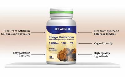 China Herbal Health Supplement Chaga Mushroom Powder Capsules For Natural Immune Support for sale